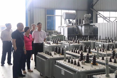 看生产问需求 解难题促发展——肖妮娜周末在园区调研工业经济运行情况